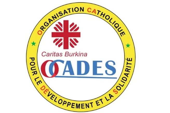 Avis de recrutement de plusieurs profils 