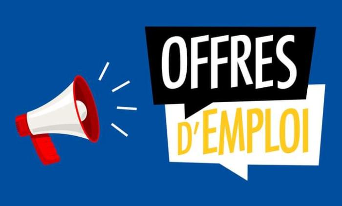 AVIS DE RECRUTEMENT D'UN (E) PROJECT OFFICER