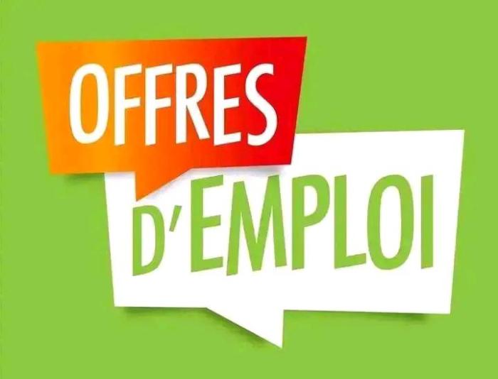 AVIS DE RECRUTEMENT DE QUATRE (4) SUPERVISEURS DES TRAVAUX 