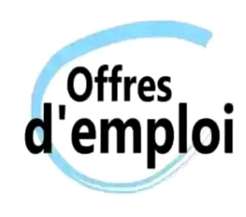 AVIS DE RECRUTEMENT D'UN CHEF DE MISSION 